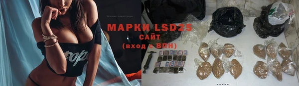 мяу мяу мука Аркадак