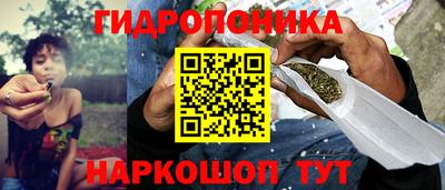 стаф Будённовск
