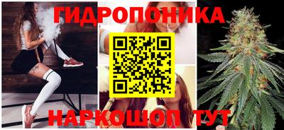 стаф Будённовск
