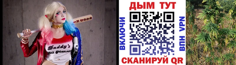 гидра как войти  Белорецк  Шишки марихуана семена  продажа наркотиков 
